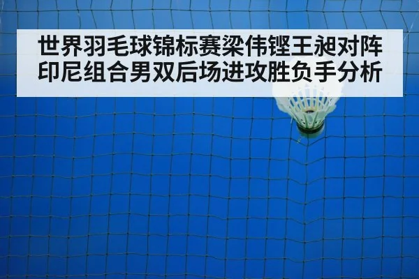 世界羽毛球锦标赛梁伟铿王昶对阵印尼组合男双后场进攻胜负手分析