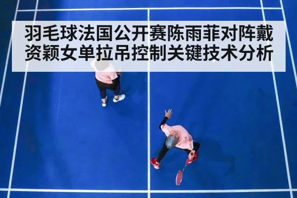 羽毛球法国公开赛陈雨菲对阵戴资颖女单拉吊控制关键技术分析