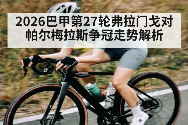 2026巴甲第27轮弗拉门戈对帕尔梅拉斯争冠走势解析